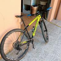 MTB specialized in carbonio colore giallo