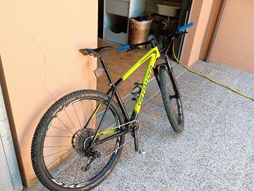 MTB specialized in carbonio colore giallo