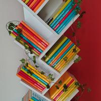 Libri:"Scoprire la filosofia" intera collezione.