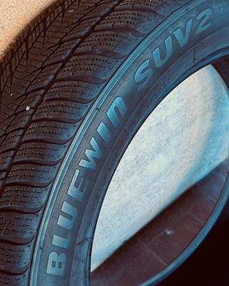 Gomme invernali
