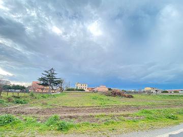 Via Sorbe Rosse; Terreno Agricolo 4.200MQ - FL340