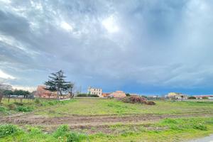 Via Sorbe Rosse; Terreno Agricolo 4.200MQ - FL340