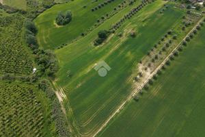 TER. AGRICOLO A BELLANTE