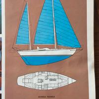 barca a vela hinna yana 43