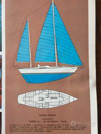 barca a vela hinna yana 43