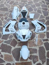Carene Kawasaki zx10r 