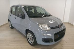FIAT Panda 3nd serie 1.0 FireFly S&S Hybrid