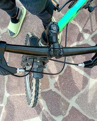 bicicletta MTB raggio 20