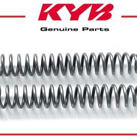 Molle forcelle Kayaba 48 e Xtrig per mono Beta RR