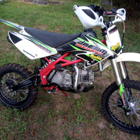 Pitbike Dream rookie 186cc