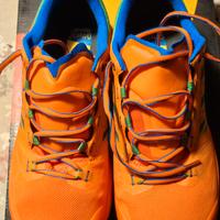 scarpe Mountain running 