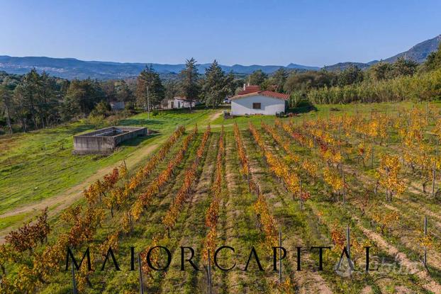 Terreno Agricolo - Oliena