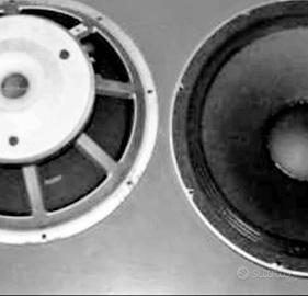 Woofer PEAWEY 15 '