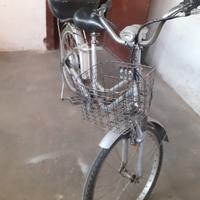 Bici elettrica