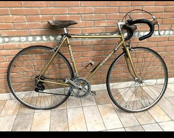 Bicicletta Vintage 