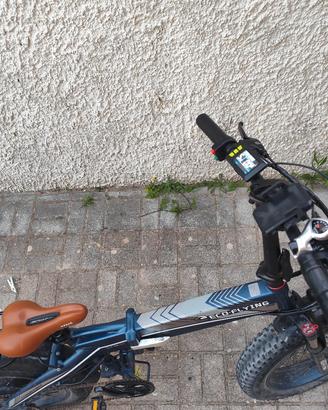 bici elettrica 