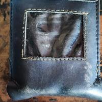 custodia batteria pellenc 150