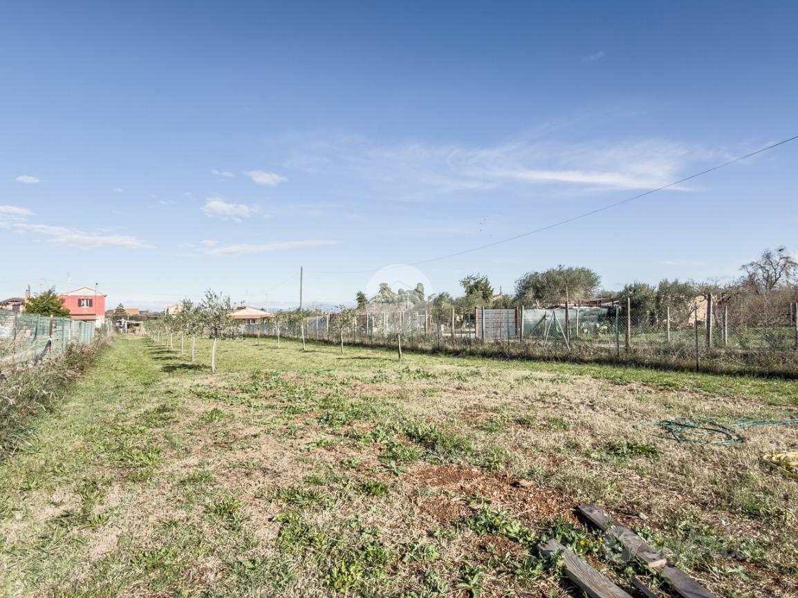 RUSTICO A CIVITA CASTELLANA - Vista 6