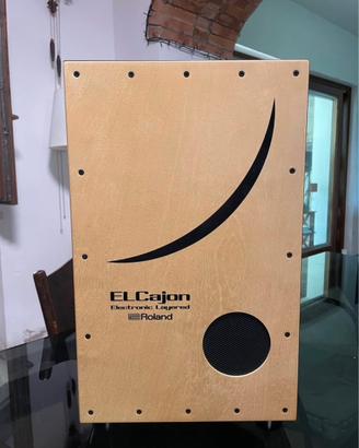 Cajon EC-10 Roland