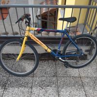 bicicletta
