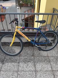 bicicletta