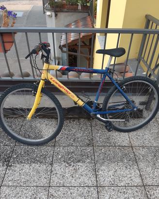 bicicletta