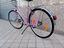 Immagine 6