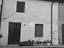 Immagine 7