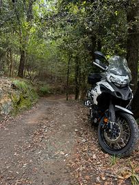 Benelli TRK502X