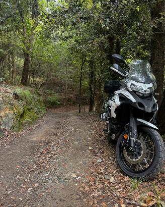 Benelli TRK502X