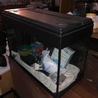 Acquario completo di accessori