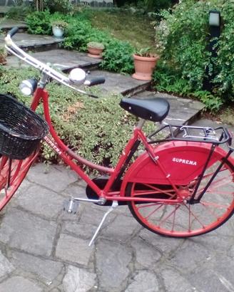 bicicletta olandese 