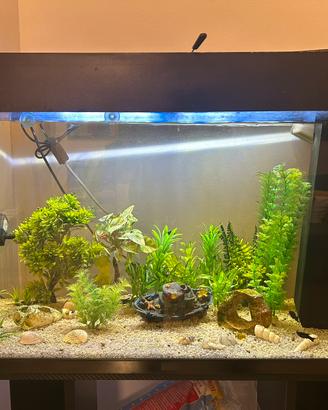 Acquario Juwel Rio 125 + mobile + filtro + mangiat