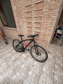 mountain bike