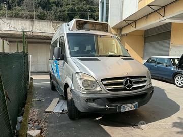 Mercedes sprinter 9 posti