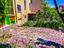 Immagine 26