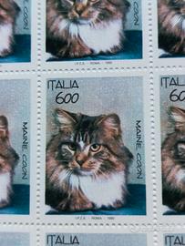 Foglio 50 Francobolli 1993 Ita gatti  Maine Coon