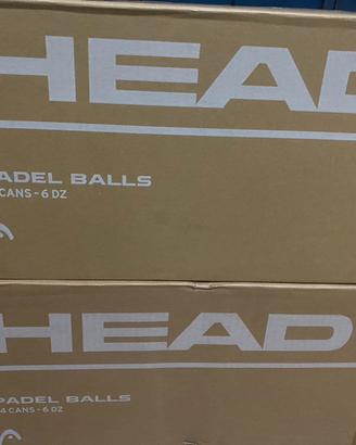Palline da padel head 24 confezioni da 3 palline