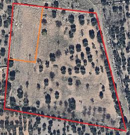 Terreno con Uliveto in località Matine