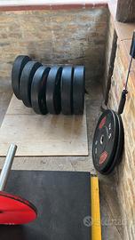 Bumpers palestra