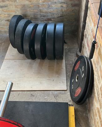Bumpers palestra