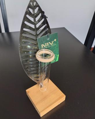 piante idrocoltura vaso fiala vetro intenz talea 