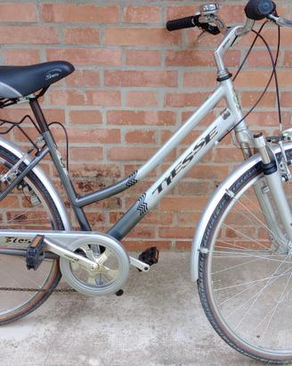 1 city bike e una MTB