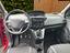 Immagine 12