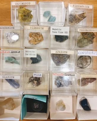 Collezione minerali e cristalli da esposizione 
