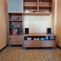 Mobile libreria e TV