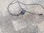 Immagine 3