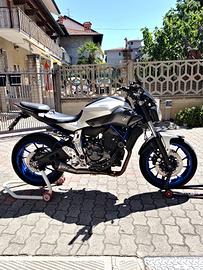 mt07 2014