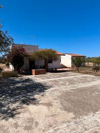 Terreno agricolo zona Augusta