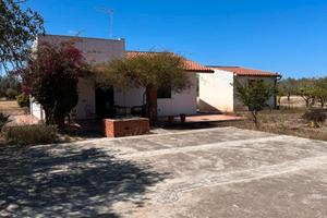 Terreno agricolo zona Augusta